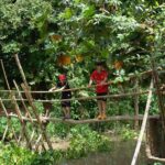 Private Cu Chi and Mekong Delta Discovery Tour - The Itinerary in Detail