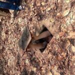 Private Cu Chi Tunnels Tour Half Day - The Itinerary: Detailed Breakdown
