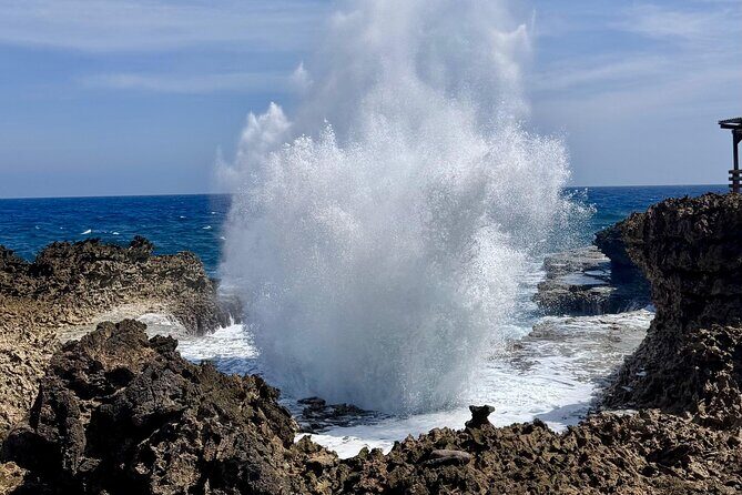 Private Curaçao West Coast: Beach & Nature Photography Tour - What’s Included (and What’s Not)