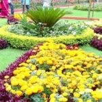 Private Custom Tour: Ooty Sightseeing with Guide - Potential Drawbacks and Considerations