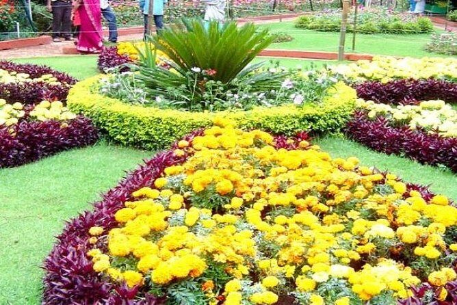 Private Custom Tour: Ooty Sightseeing with Guide - Potential Drawbacks and Considerations