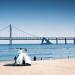 Private Custom Tour with a Local Guide Busan - Who Will Love This Tour?