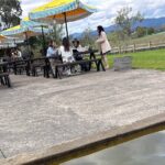 Private Customized Yarra Valley Wine Tour - Itinerary Breakdown: What to Expect