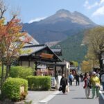 PRIVATE Day BUS Tour to KOKONOE & YUFUIN, BEPPU from Fukuoka - The Practicalities and Value