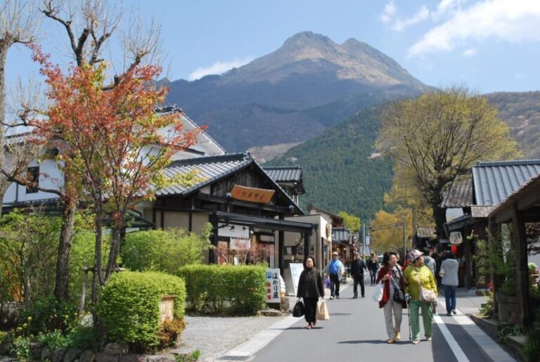 PRIVATE Day BUS Tour to KOKONOE & YUFUIN, BEPPU from Fukuoka - The Practicalities and Value
