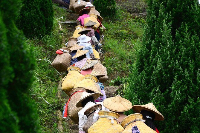 Private Day Tour: Anxi Tea Garden And Hongen Rock From Xiamen - Insights from Reviews and What They Mean for You