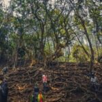 Private Day Tour : From Madurai to Enchanting Kodaikanal - What Not to Miss