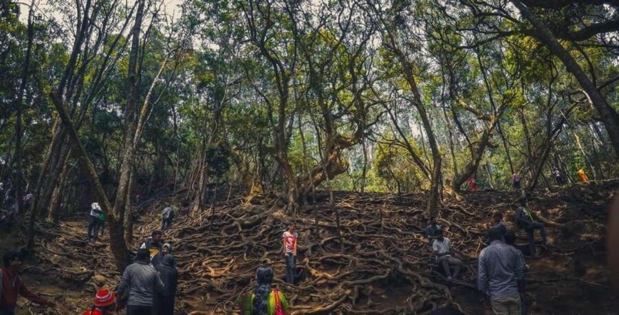 Private Day Tour : From Madurai to Enchanting Kodaikanal - What Not to Miss