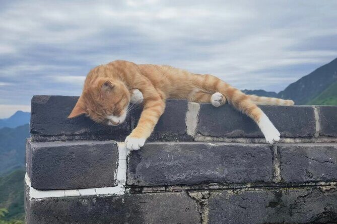 Private Day Tour to Mutianyu Great Wall with English Driver - Overview of the Experience