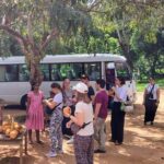 Private Day Tour to Sigiriya & Dambulla cave with Wildlife Safari - The Sum Up