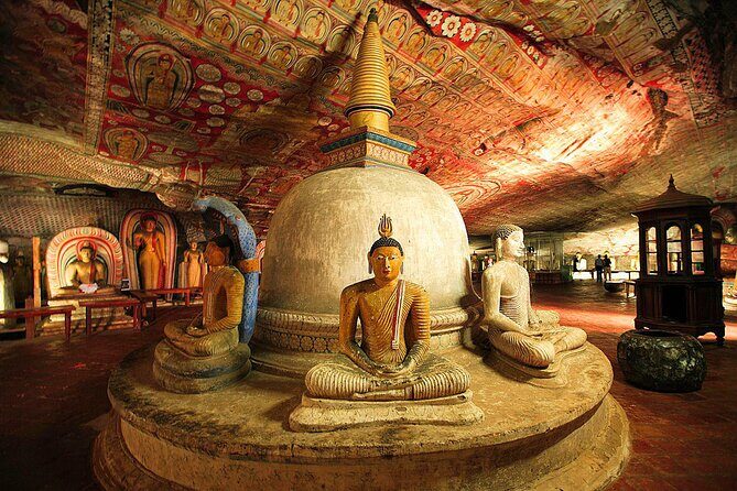 Private Day Tour to Sigiriya & Dambulla cave with Wildlife Safari - Who Is This Tour Best For?