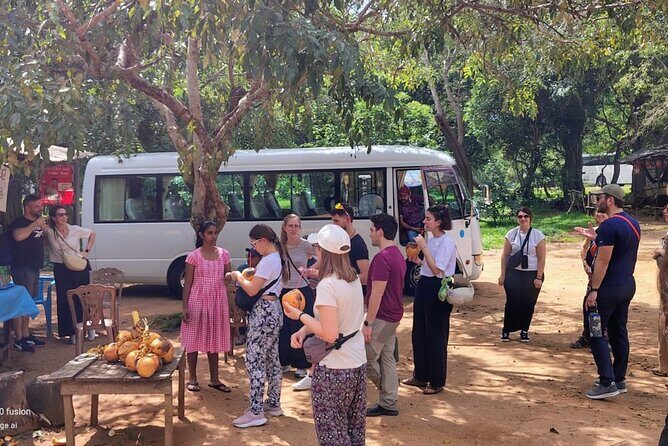 Private Day Tour to Sigiriya & Dambulla cave with Wildlife Safari - The Sum Up