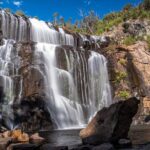 Private Day Trip to Nature's Wonderland Grampians Grandeur - The Experience of the Guide and Overall Value