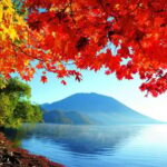 Private Day trip to Nikko with English speaking Guides - The Itinerary: An In-Depth Look