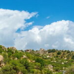 Private Day Trip to Shakhrisabz from Samarkand - Practical Aspects of the Tour