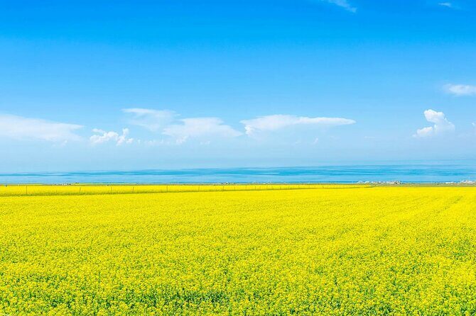 Private Day Trip to Taer Monastery and Lake Kokonor - Discovering Qinghai’s Hidden Gems: An In-Depth Review