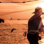 PRIVATE Discover Phu Quoc Local life and Starfish Beach & Lunch - Overview of the Tour Experience