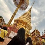 Private Doi Suthep Day Tour from Chiang Mai - What Makes This Tour Stand Out
