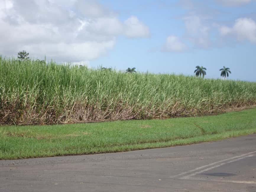 Private: Dominican Countryside Buggy Adventure - Safety Briefing and Equipment