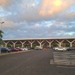 Private Double Tree Transfer - The Value of This Transfer Service