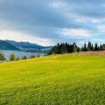 Private Driver Hire  Full-Day Touring-Auckland/Rotorua/Hamilton - A Closer Look at the Experience