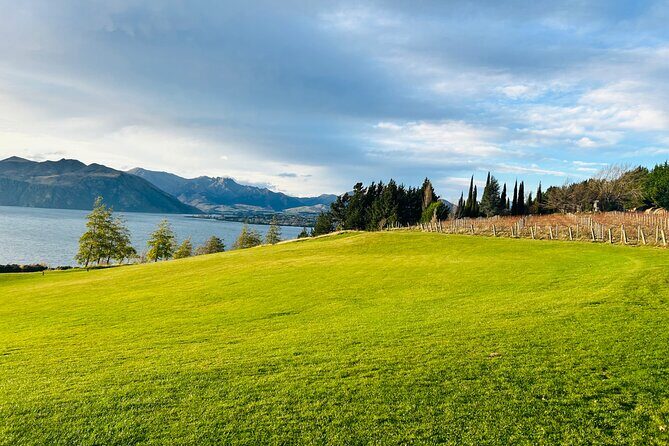 Private Driver Hire  Full-Day Touring-Auckland/Rotorua/Hamilton - A Closer Look at the Experience