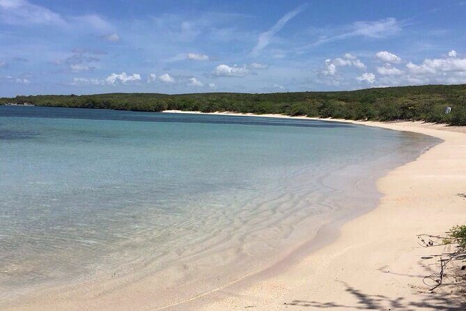 Private Driving San Juan City Tour - Who Should Consider This Tour?