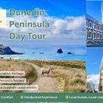 Private Dunedin & Otago Peninsula Day Tour Up to 4 - The Value of a Private, Customizable Tour