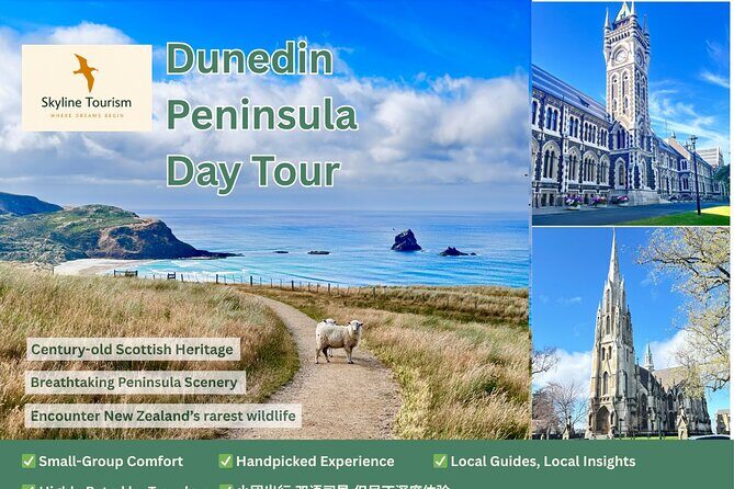 Private Dunedin & Otago Peninsula Day Tour Up to 4 - The Value of a Private, Customizable Tour