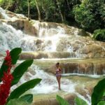 Private dunns river blue hole and luminous lagoon tour - Authentic Insights from Past Travelers