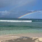 Private Duo Surfing Lesson Guadeloupe - The Sum Up