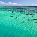 Private E-Board Tour of Moorea Lagoon - Itinerary Breakdown and Experience Highlights