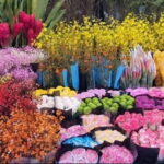 Private Early Morning Tour in Hanoi City - The Charm of Early Morning in Hanoi