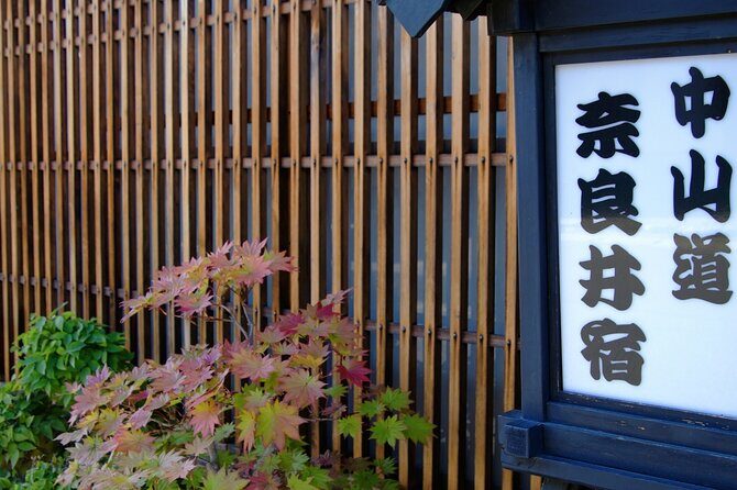 Private Edo Period Tour Matsumoto Castle and Nakasendo Trail - What to Expect in Terms of Comfort and Logistics