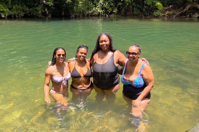 Private El Yunque Rainforest and Beach Tour for Cruise Ships - Who Is This Tour Perfect For?