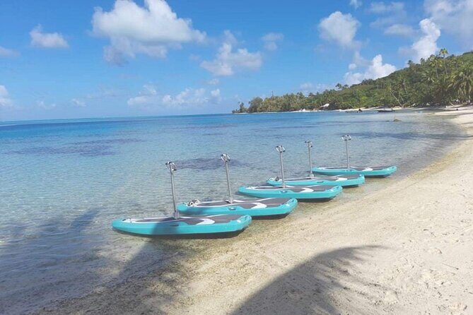 Private Electric Paddle Cruise in Bora Bora - Considerations and Practical Tips