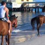Private Evening Horse Ride on the Beach - The Practicalities