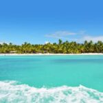 Private: Exclusive Saona Island VIP Speedboat Charter - Practical Details & Considerations