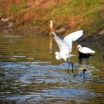 Private Excursion Trip to Bharatpur's Keoladeo National Park From Delhi - Who Will Love This Tour?