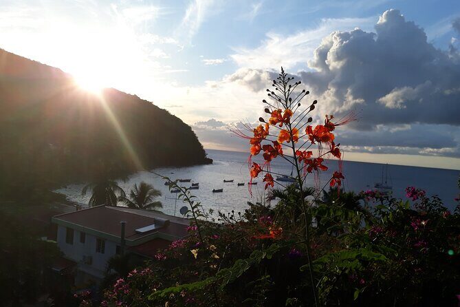 Private excursions à la carte in Martinique - What to Expect from the Experience