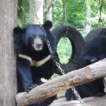 Private Explore Pak Ou Cave & Kuang Si Waterfall with Lunch - Who Is This Tour Best Suited For?