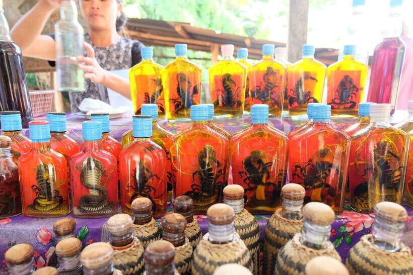 Private Explore Pak Ou Cave & Kuang Si Waterfall with Lunch - An In-Depth Look at the Itinerary and Highlights  