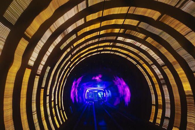 Private Family Friendly Shanghai City Tour - Authentic Insights from Reviewers