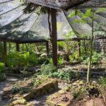 Private Fiji Tour - An In-Depth Look at the Itinerary