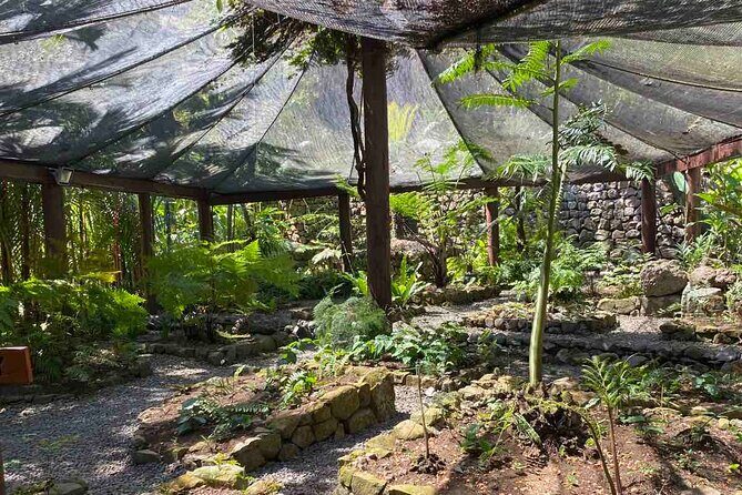 Private Fiji Tour - An In-Depth Look at the Itinerary