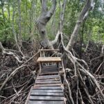 Private Fishing Trip to Koh Tan & Koh Madsum by Speedboat - Who Would Love This Tour?