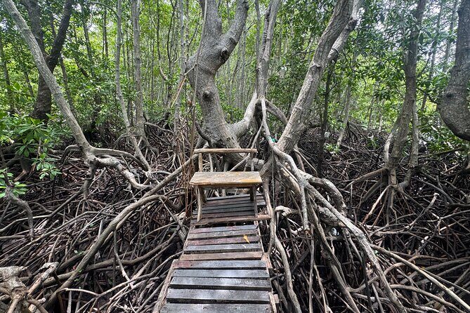 Private Fishing Trip to Koh Tan & Koh Madsum by Speedboat - Who Would Love This Tour?