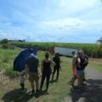 Private French Caribbean Rum Tour with Tastings - Who Will Love This Tour?