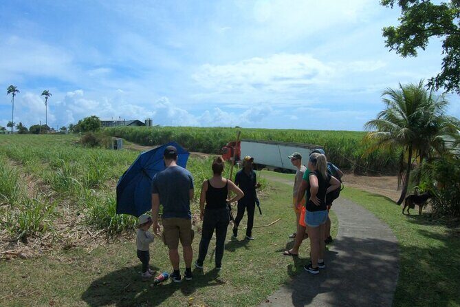 Private French Caribbean Rum Tour with Tastings - Who Will Love This Tour?