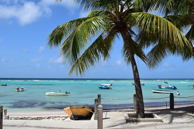 Private Full-Day Barbados Excursion - The Sum Up